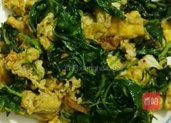 枸杞尖炒鹅蛋的做法图解4