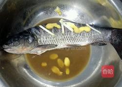 过江鱼的做法图解1