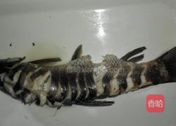 过江鱼的做法图解5