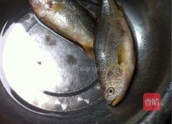 红酒烧煎大黄鱼的做法图解1