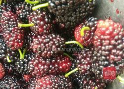 桑葚膏的做法图解1