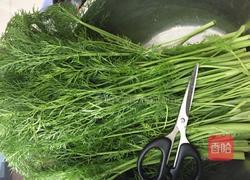 茴香包子的做法图解1