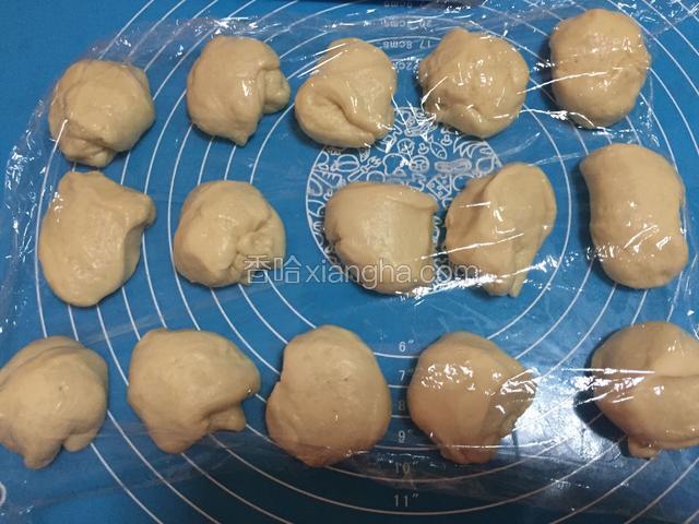 揉匀的面团分成15个相同大小的小剂子，盖保鲜膜醒发15-20分钟