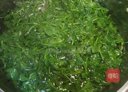 苜蓿猪肉馅饺子的做法图解3