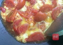 鸡蛋炒西红柿的做法图解7