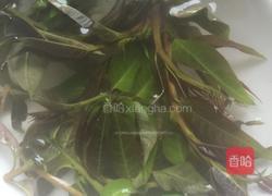 香椿鸡蛋饼的做法图解1