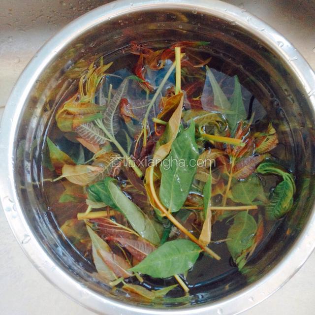 香椿在清水中浸泡2分钟，洗干净