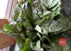 莴笋叶的蒸法的做法图解1