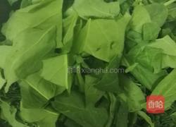 菠菜鸡蛋的做法图解2