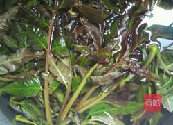 香椿煎蛋的做法图解1