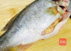 上汤鲈鱼的做法图解1