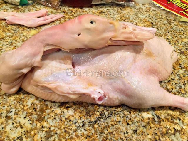 将买来的鸭子在水里洗净，可以用清水稍微泡一会，将鸭翅后两节及鸭掌去掉，找到关节位置一割一转就下来了！看丫丫的眼神好开心还是好无辜！