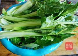 耗油根达菜的做法图解1