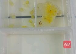 雪莲子桃胶银耳汤的做法图解2