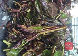 炸香椿的做法图解1