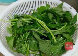 素炒番薯叶的做法图解1