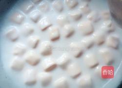 自制芒果冰激凌的做法图解4