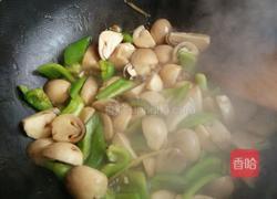 油焖草菇的做法图解4