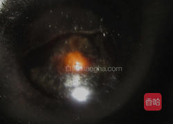 凉拌龙须菜的做法图解6