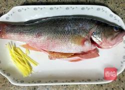 鲈鱼酸菜汤的做法图解1