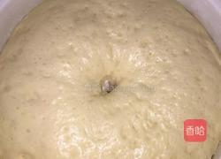 手揉面包!的做法图解12
