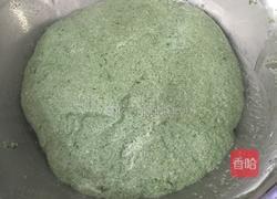 咸蛋黄肉松青团（网红青团）的做法图解6