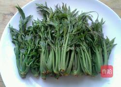 炸香椿鱼儿的做法图解2