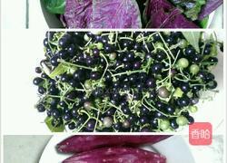 七彩饺子的做法图解2