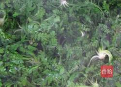 荠菜鸡蛋饼的做法图解1