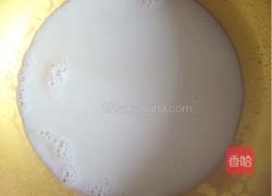 木瓜椰奶冻的做法图解3