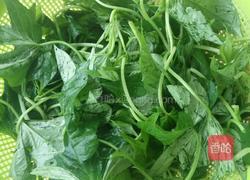 素炒番薯苗的做法图解1