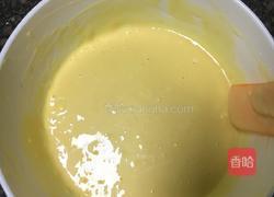 酸奶芒果盆栽与蛋糕芒果酸奶的做法图解10