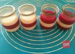 火龙果酸奶冻的做法图解11