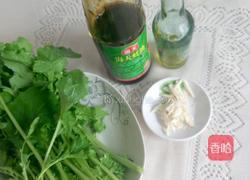 凉拌小青菜的做法图解1
