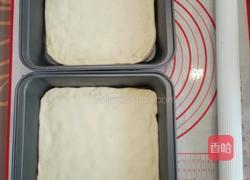 面包机烟熏三文鱼披萨(烤肉披萨)的做法图解5