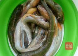 酱炖海鲶鱼的做法图解1