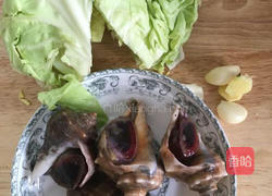 海螺片爆炒卷心菜的做法图解1