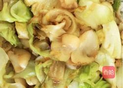  海螺片爆炒卷心菜的做法图解5