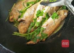 煎金线鱼的做法图解4
