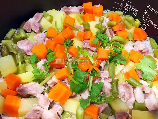 文一Cooking 五彩焖饭