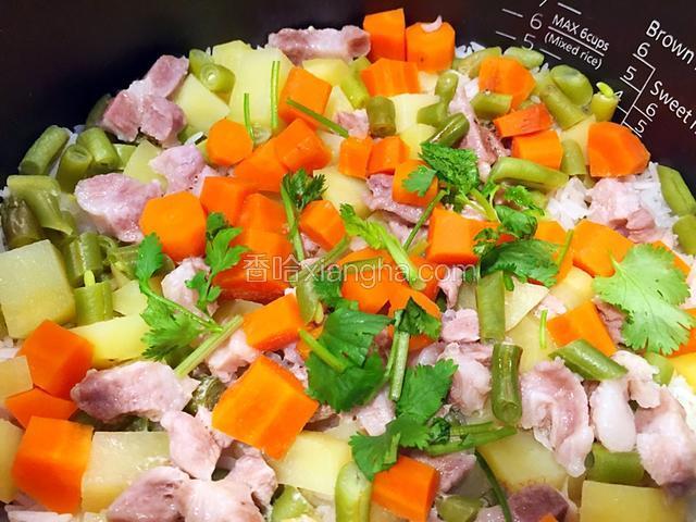 打开电饭煲，焖饭，全程傻瓜模式，如果电饭煲有