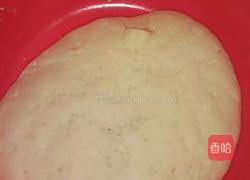 洋葱羊肉包子的做法图解2