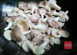 秀珍菇炒肉的做法图解7