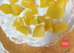 芭比娃娃蛋糕的做法图解33