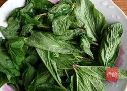 干炸薄荷的做法图解1
