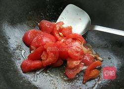 烩双茄的做法图解9