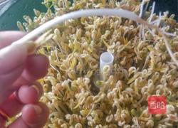 豆芽的做法图解1