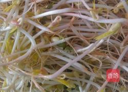 豆芽的做法图解2