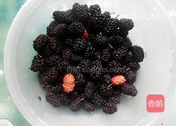 紫色的春天（桑葚钵仔米糕）的做法图解1