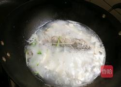 鲫鱼豆腐汤的做法图解8